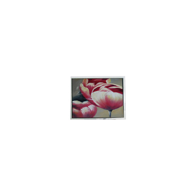 Dobra cena. Oryginalny 240*64 DMF5010NF-FW-BE 5,2-calowy 70Hz panel LCD w Internecie