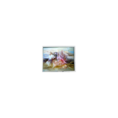 Dobra cena. Oryginalny 9,6 cala 640*200 DMF-50036ZNFU-FW Panel LCD dla przemysłu w Internecie