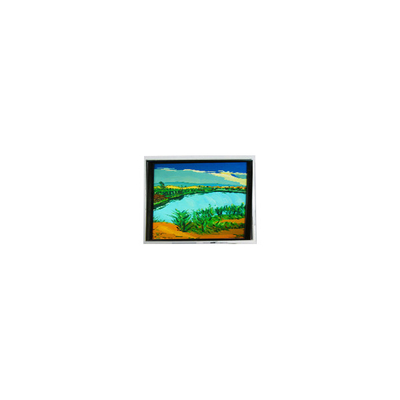 Dobra cena. DMF-50316NF-FW-1 240*64 5,2 cala 130 cd/m2 ekran LCD w Internecie