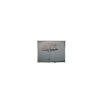 Dobra cena. 9.4 cala DMF-51043NFU-FW 640*480 ekran LCD Panel w Internecie