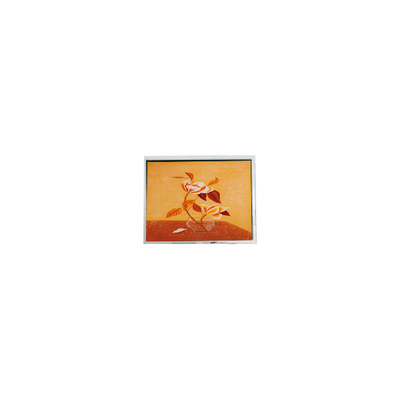 Dobra cena. T-55225D104J-FW-A-AAN 10,4 cala 1024*768 moduł ekranu LCD w Internecie