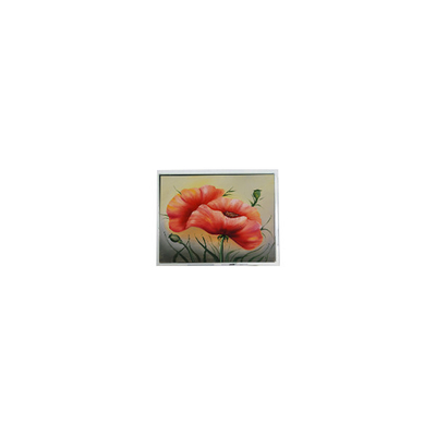 Dobra cena. T-55548GD057JU-LW-ACN 5,7-calowy ekran LCD dotykowy w Internecie