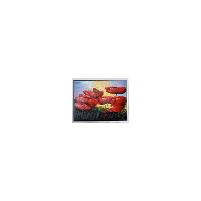 Dobra cena. Gorąco Sprzedaj 6,5 cali 640*480 T-55629D065J-LW-A-ABN Ekran LCD Panel Display w Internecie