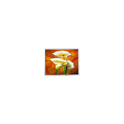 Dobra cena. T-55694D106J-LW-A-AAN 10,6 cala 1280*768 1000 cd/m2 Ekran LCD w Internecie