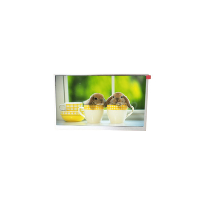 Dobra cena. TM090RDSG06 9,0 cala 800*480 WLED monitor LCD w Internecie
