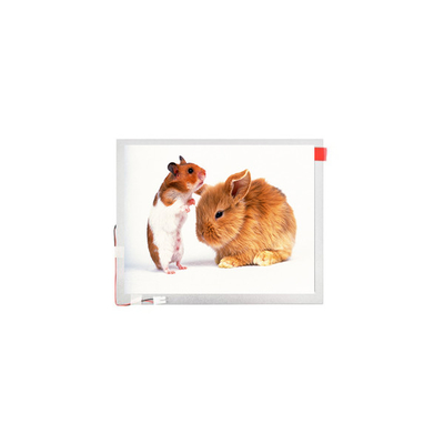 Dobra cena. 10.1 cala TM101JVHG44-00 LVDS TFT-LCD Panel Screen lcd Display w Internecie