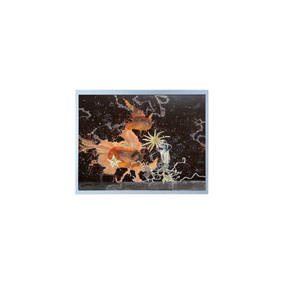 Dobra cena. 12.1 cala P1210WXF1MA00 1280*800 WLED TFT LCD Panel w Internecie