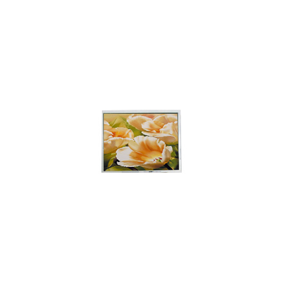 Dobra cena. ES13BB0FLW 128*64 2,9 cala Ekran LCD Moduł LCD do instrumentów w Internecie