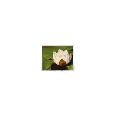 Dobra cena. 640*480 5,7 cala COM57H5M87KTC 262K 60Hz LCD Touch Display w Internecie