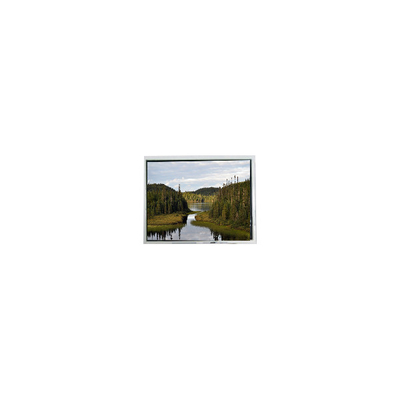 Dobra cena. 2.0 cali ekran LCD 20QVF0H monitor LCD dla urządzeń przenośnych w Internecie