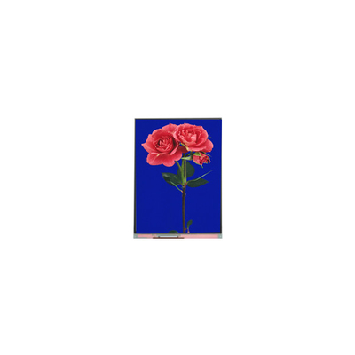 Dobra cena. 800*1280 C080SWW3-1 8,0 cala TFT LCD Display FOR Pad w Internecie