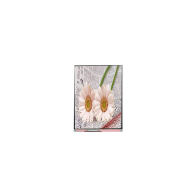 Dobra cena. C084GNS1-1 800*600 8,4 cala TFT LCD Display FOR Industrial w Internecie