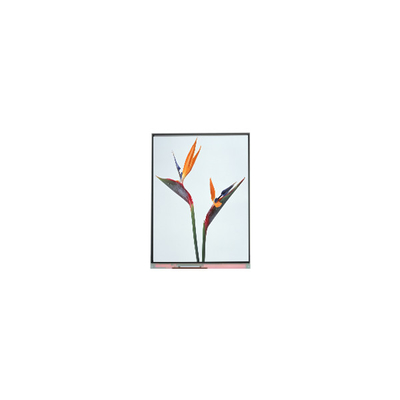 Dobra cena. 9.0 cala C090NWP1 R0 800*480 TFT LCD Display Panel w Internecie