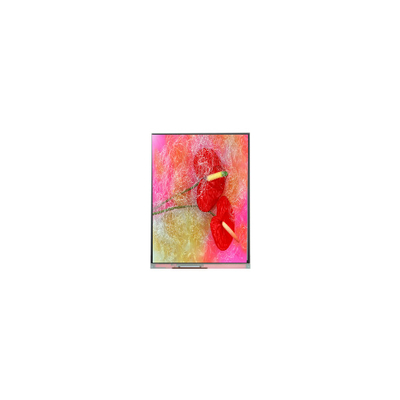 Dobra cena. Oryginalny 9,0 cali 800*480 C090NWP1 R1 16,7M ekran TFT LCD Panel w Internecie