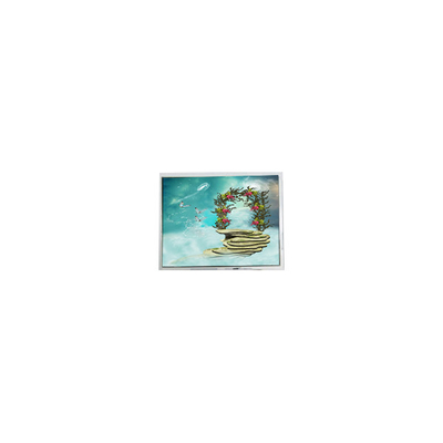 Dobra cena. TFT1N5918 6,9 cala 800*480 LVDS LCD Monitor w Internecie