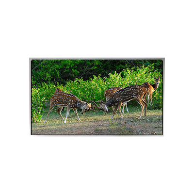 Dobra cena. Hot Sell 21,3 cala 1200*1600 P213UXF1MA10 LVDS LCD Monitor w Internecie