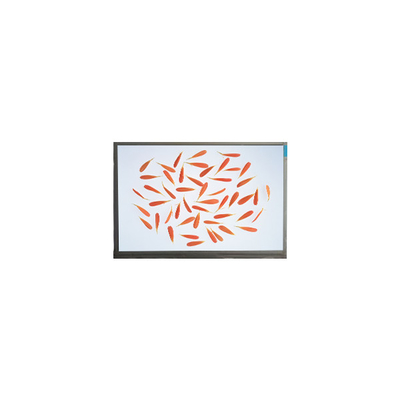 Dobra cena. nowy 6,9 cala M069AWA1 R0 1280*720 ekran lcd lcd Panel w Internecie