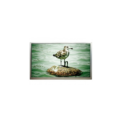 Dobra cena. 1920*1080 32,0 cali PT320CT01-2 LVDS ekran LCD LCD Display w Internecie