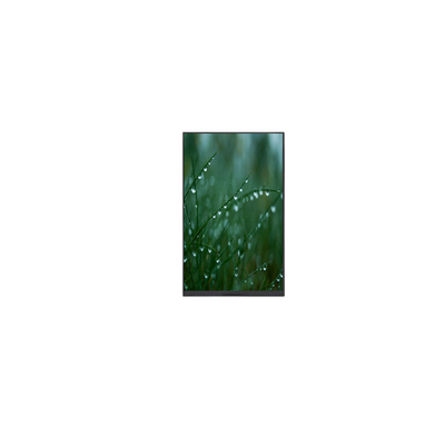 Dobra cena. 8.0 cali P080DZD-DB6 800*1280 Panel LCD dotykowy w magazynie w Internecie
