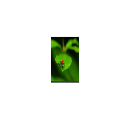 Dobra cena. P080KDA-AF1 8.0 cali 1200*1920 415 cd/m2 Monitor LCD w Internecie