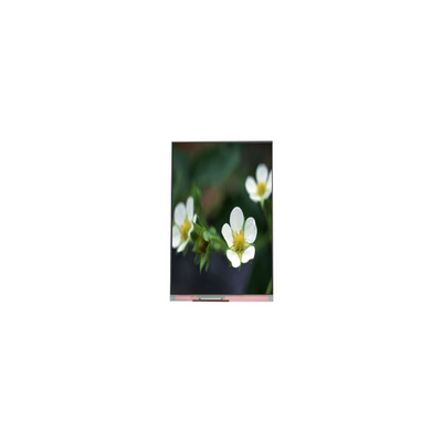 Dobra cena. PP055IA-09B 1440*2560 5,5 cala 16,7M Ekran LCD w Internecie