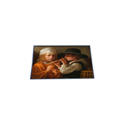 Dobra cena. P157RAN02.0 15,7 cala 960*960 TFT LCD Panel Display w Internecie