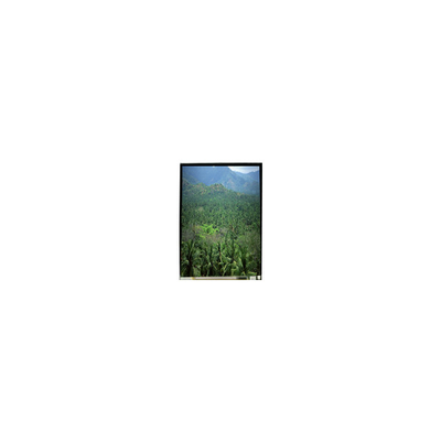 Dobra cena. LS055B3SX04Z 5,5 cala 1920*3664 TFT LCD Panel w Internecie