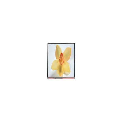 Dobra cena. C050SWAN-0 5,0 cala 720*1280 Panel ekranu LCD w Internecie