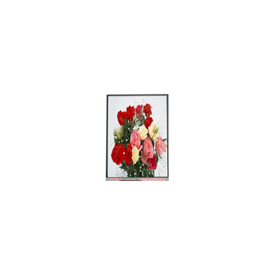 Dobra cena. C065SWR4-0 Oryginalny w magazynie 6,5 cali 540*1200 ekran LCD w Internecie