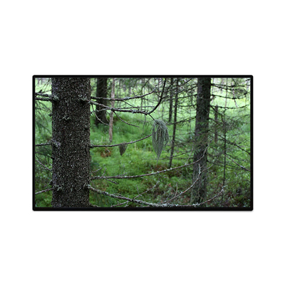 Dobra cena. TV101WUB-NW1-D9P0 10,1 cala 1200*1920 LCD Panel Display w Internecie