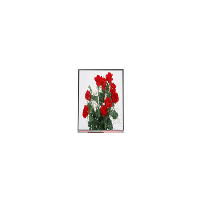 Dobra cena. C065SWR1-0 6,5 cala panel ekranu LCD 720*1560 ekran LCD w Internecie