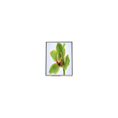 Dobra cena. 5.0 cali ekran TFT LCD 480*854 C050SWYG-3 w Internecie