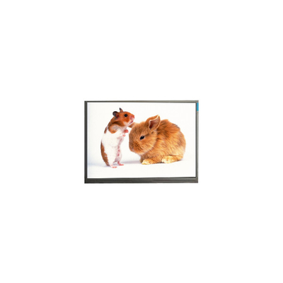 Dobra cena. F060A21-603 6,0 cala 720*1440 LCD Display Module FOR Mobile Phone w Internecie