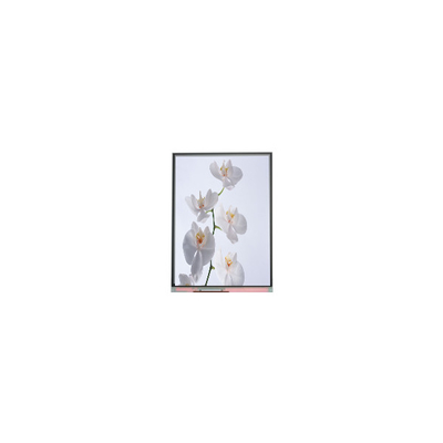 Dobra cena. C060SWR6-1 6,0 cala 720*1528 Panel ekranu LCD w Internecie
