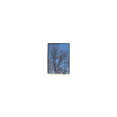 Dobra cena. 5.5 cali LS055T1SX29 1080*1920 FHD LCD Panel wyświetlania w Internecie