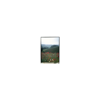 Dobra cena. 5.5 cali LS055B1SX01B Panel LCD z dotykiem dla telefonu komórkowego w Internecie