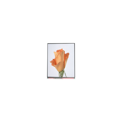 Dobra cena. 720*1280 C052SWA2-1 5,2-calowy wyświetlacz LCD dla telefonu w Internecie