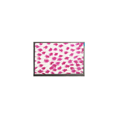 Dobra cena. 9.0 cali 800*480 ekran LCD wyświetlacz E090SWP1 R2 panel LCD w Internecie
