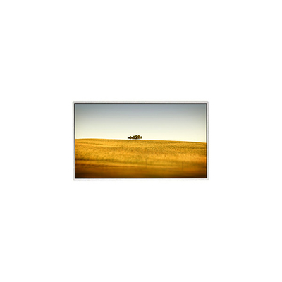 Dobra cena. Gorący sprzedaż 10,1 cala TT101WSQ-N10 1024 * 600 LCD ekran do PC Netbook w Internecie