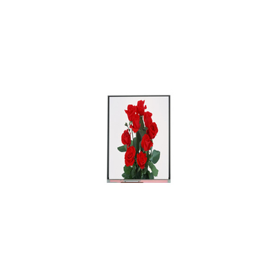 Dobra cena. NOWY 6,2 cala C062SWP1-1 800*480 LCD Display w Internecie