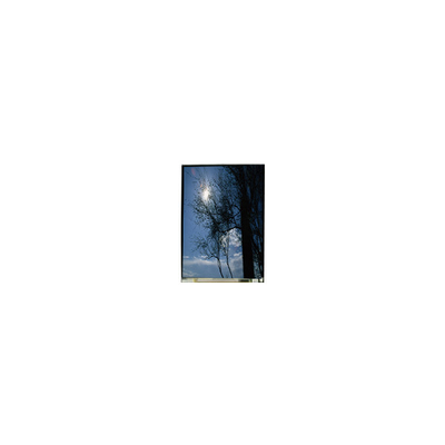 Dobra cena. LS055T1SX09 5,5 cala 1080*1920 ekran LCD TFT-LCD w Internecie