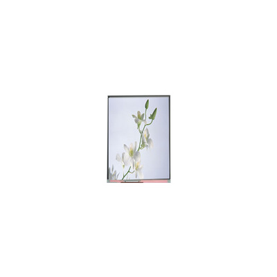 Dobra cena. C060SWZ1-0 NOWY 6,0 cali 540*960 LCD Display w Internecie