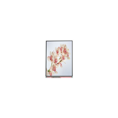 Dobra cena. C060SWA4-0 NOWY 6,0 cala IPS LCD Display w Internecie