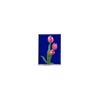 Dobra cena. C055SWF4 R0 Moduł LCD 5,5 cali wyświetlacz TFT LCD w Internecie