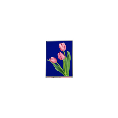 Dobra cena. Nowy 5,4-calowy ekran LCD C054SWZ4-1 540*960 w Internecie