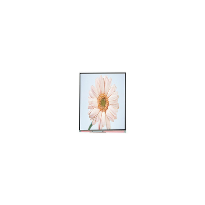 Dobra cena. nowy 720*1280 C050HWA5-1 5,0 cali LCD Monitor Moduł w Internecie