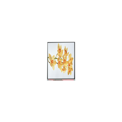 Dobra cena. C060SWY2-1 6,0 cala 480*854 TFT LCD Display Panel w Internecie