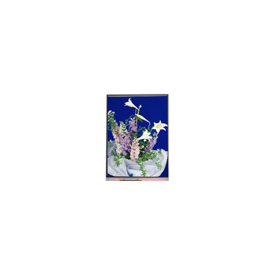 Dobra cena. C054SWN1 R0 tft LCD Display 5,4 cali panel LCD w Internecie