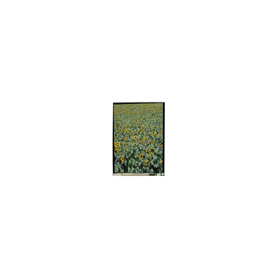 Dobra cena. 720*1280 LS053K3SX01 5,3-calowy wyświetlacz LCD LCD w Internecie