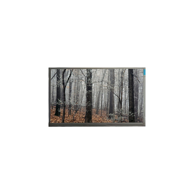 Dobra cena. MT200LW01 V.0 20,0 cala 30 pinów LCD Panel Display w Internecie